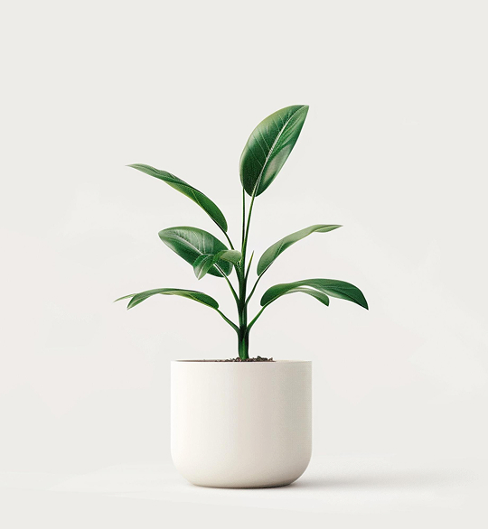 product-04 product 04